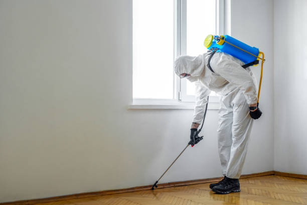 Best Bed Bug Extermination  in Friend, NE