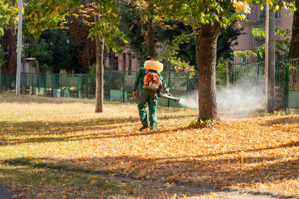 Best Best Pest Control Companies  in Friend, NE