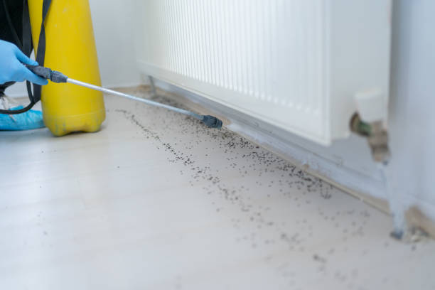 Best Pest Control Cost  in Friend, NE