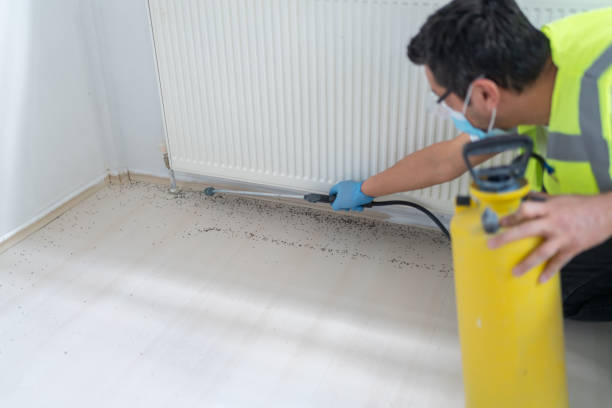 Best Pest Removal Services  in Friend, NE
